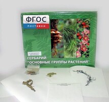 Гербарий "Основные группы растений" (52 листа) - fgospostavki.ru - Барнаул
