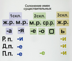 Набор магнитных карточек "Склонение имен существительных" - fgospostavki.ru - Барнаул
