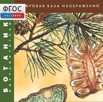 Ботаника. Микрофотографии. (Цифровая база изображений) - fgospostavki.ru - Барнаул