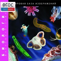 Биология. Микрофотографии. (Цифровая база изображений) - fgospostavki.ru - Барнаул