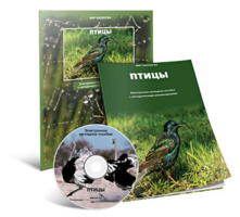 Электронное наглядное пособие «Птицы» - fgospostavki.ru - Барнаул