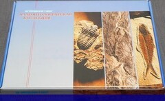 Коллекция "Палеонтологическая" (16 образцов) - fgospostavki.ru - Барнаул