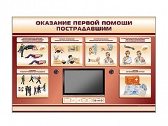 Многофункциональный интерактивный стенд-тренажер "Оказание первой помощи пострадавшим" для учащихся общеобразовательных учреждений - fgospostavki.ru - Барнаул