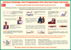 Таблица "Порядок действий при переломах конечностей" (100х140 сантиметров, винил) - fgospostavki.ru - Барнаул