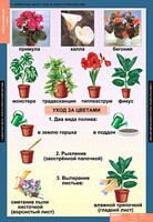Комплект таблиц. Окружающий мир 1 класс. - fgospostavki.ru - Барнаул