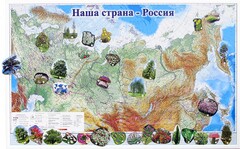 Магнитные карточки "Растения" - fgospostavki.ru - Барнаул