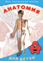 DVD "Анатомия для детей" - fgospostavki.ru - Барнаул