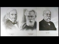 Портреты биологов (26 штук, формат А3) - fgospostavki.ru - Барнаул