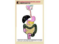 Рельефная таблица "Пищеварительный тракт" (формат А1, матовое ламинирование) - fgospostavki.ru - Барнаул