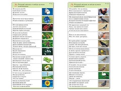 Комплект карточек (10) "Обучающий калейдоскоп. Природа" - fgospostavki.ru - Барнаул