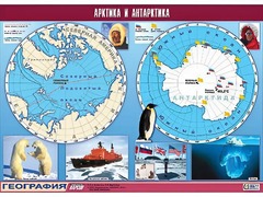 Таблица демонстрационная "Арктика и Антарктика" (винил 100*140) - fgospostavki.ru - Барнаул