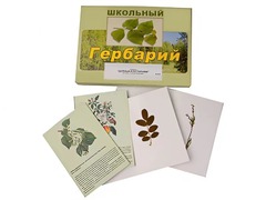Гербарий "Деревья и кустарники" (22 вида, с иллюстрациями) - fgospostavki.ru - Барнаул
