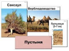 Модель-аппликация "Природные зоны России" (ламинированная) - fgospostavki.ru - Барнаул