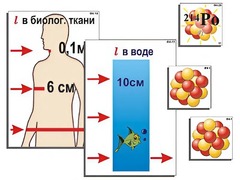 Модель-аппликация "Явление радиоактивности" (ламинированная) - fgospostavki.ru - Барнаул