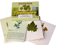 Гербарий "Систематика растений. Высшие споровые и семенные" (раздаточный) - fgospostavki.ru - Барнаул
