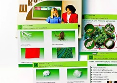 Коллекция "Шелк и продукты его переработки" (средняя школа) - fgospostavki.ru - Барнаул