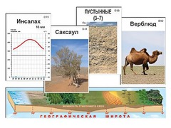 Модель-аппликация "Природные зоны" - fgospostavki.ru - Барнаул