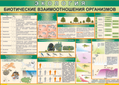 Таблица "Биотические взаимоотношения организмов" (100х140 сантиметров, винил) - fgospostavki.ru - Барнаул