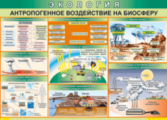 Таблица "Антропогенное воздействие на биосферу" (100х140 сантиметров, винил) - fgospostavki.ru - Барнаул