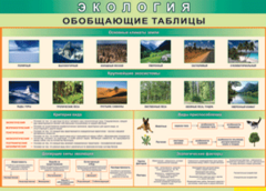 Таблица "Экология. Обобщающие таблицы" (100х140 сантиметров, винил) - fgospostavki.ru - Барнаул