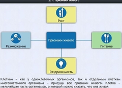 Интерактивные курсы. Биология 5 класс. Базовый - fgospostavki.ru - Барнаул