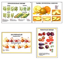 Плакаты ПРОФТЕХ "Ассортимент овощных культур" (12 пл, винил, 70х100) - fgospostavki.ru - Барнаул