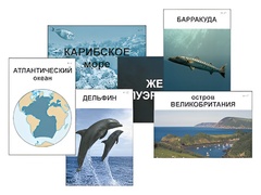 Модель-аппликация "Океаны. Знакомство" (ламинированная) - fgospostavki.ru - Барнаул