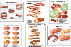 Плакаты ПРОФТЕХ "Ассортимент колбасной и мясной продукции" (11 пл, винил, 70х100) - fgospostavki.ru - Барнаул