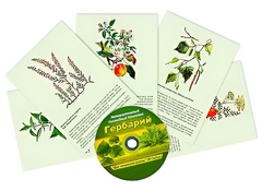 Интерактивный наглядный комплекс "Гербарий "Для начальной школы" - fgospostavki.ru - Барнаул
