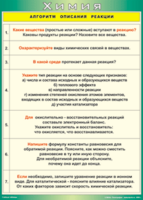 Таблица "Алгоритм описания реакции" (100х140 сантиметров, винил) - fgospostavki.ru - Барнаул