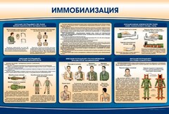 Стенд "Иммобилизация" - fgospostavki.ru - Барнаул