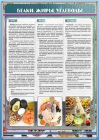 Стенд "Белки. Жиры. Углеводы" - fgospostavki.ru - Барнаул