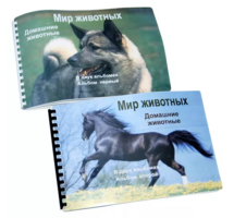 Пособие для слабовидящих - Домашние животные - fgospostavki.ru - Барнаул