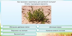Интерактивные курсы. Окружающий мир 3 класс . Базовый. - fgospostavki.ru - Барнаул