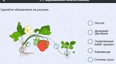 Интерактивные курсы. Биология 7 класс. Расширенный. - fgospostavki.ru - Барнаул