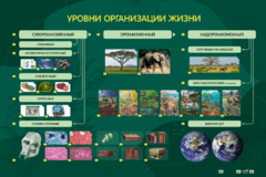 Электрифицированный стенд "Уровни организации жизни" - fgospostavki.ru - Барнаул