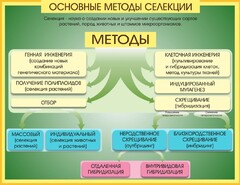 Стенд "Методы селекции и биотехнологии" - fgospostavki.ru - Барнаул