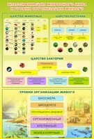 Стенд "Классификация животного мира" - fgospostavki.ru - Барнаул
