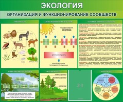 Стенд "Экология. Организация и функционирование сообществ" - fgospostavki.ru - Барнаул