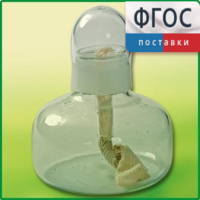 Спиртовка демонстрационная - fgospostavki.ru - Барнаул