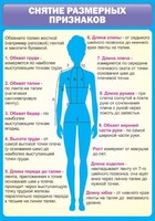 Стенд "Снятие мерок" Вариант 2 - fgospostavki.ru - Барнаул