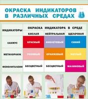 Стенд "Окраска индикаторов в различных средах" - fgospostavki.ru - Барнаул