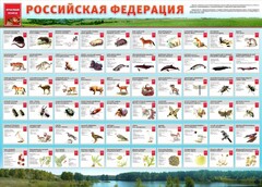 Стенд "Красная книга РФ" - fgospostavki.ru - Барнаул