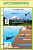 Стенд "Строение биосферы" - fgospostavki.ru - Барнаул