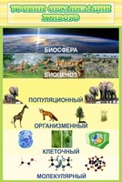 Стенд "Уровни организации живого" - fgospostavki.ru - Барнаул