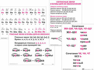 Опорные таблицы по русскому языку 1 класс - fgospostavki.ru - Барнаул