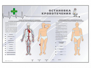 Электрифицированный стенд "Остановка кровотечения" - fgospostavki.ru - Барнаул