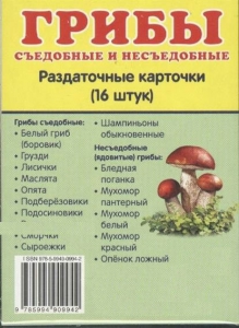 Раздаточные карточки "Грибы съедобные и не съедобные" - fgospostavki.ru - Барнаул
