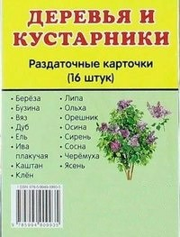 Раздаточные карточки "Деревья и кустарники" - fgospostavki.ru - Барнаул