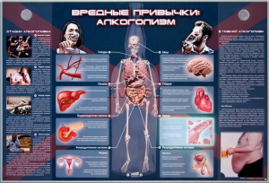 Электрифицированный стенд "Вредные привычки: алкоголизм" - fgospostavki.ru - Барнаул
